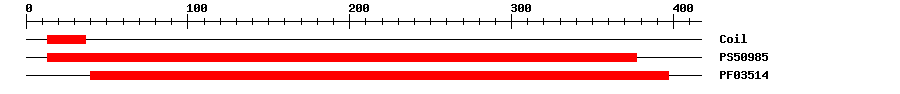 3D Structure