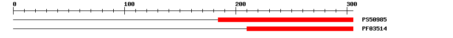 3D Structure
