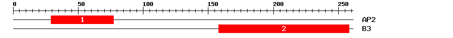 Signature Domain