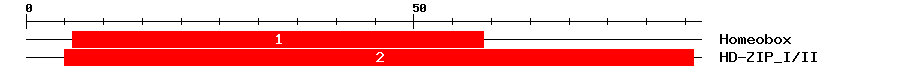 Signature Domain