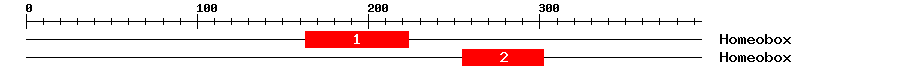 Signature Domain