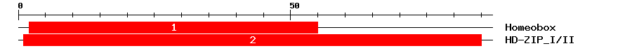 Signature Domain