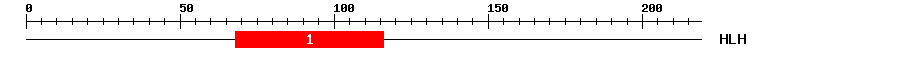 Signature Domain