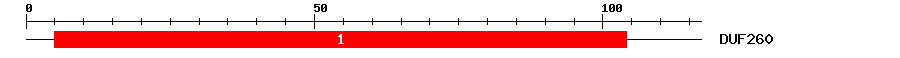 Signature Domain
