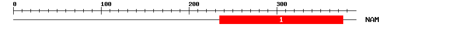 Signature Domain