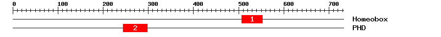 Signature Domain
