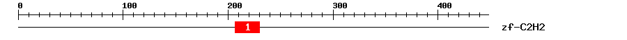 Signature Domain