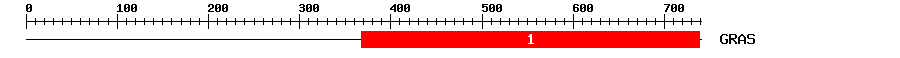Signature Domain