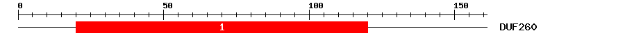 Signature Domain