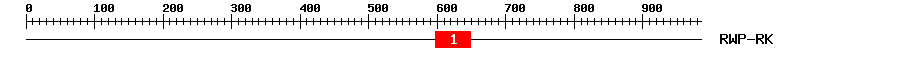 Signature Domain