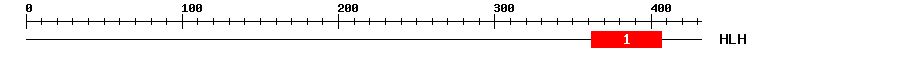 Signature Domain