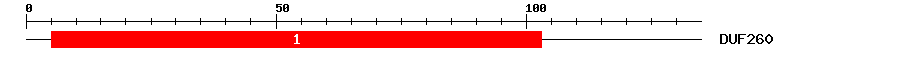 Signature Domain