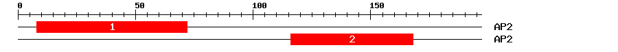 Signature Domain