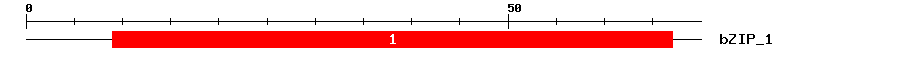 Signature Domain