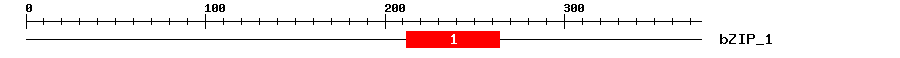 Signature Domain