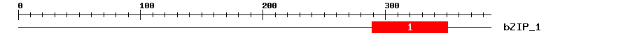 Signature Domain