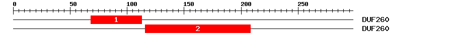 Signature Domain