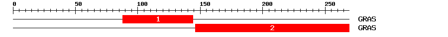 Signature Domain
