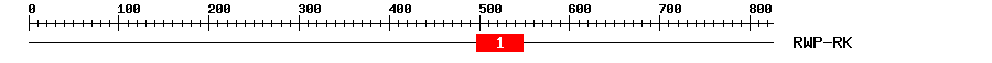 Signature Domain