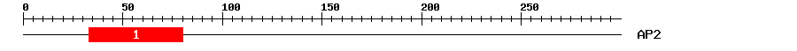 Signature Domain