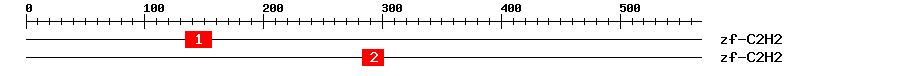 Signature Domain