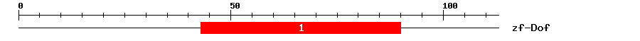 Signature Domain