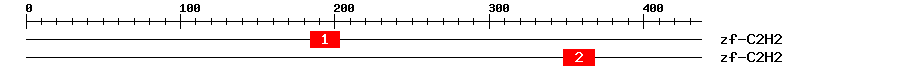 Signature Domain