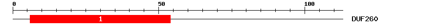 Signature Domain