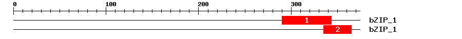 Signature Domain