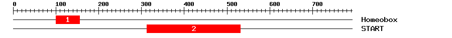 Signature Domain