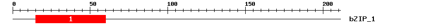 Signature Domain