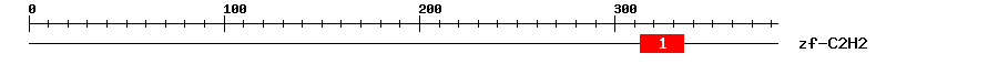 Signature Domain