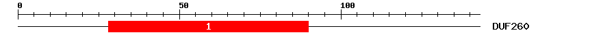 Signature Domain