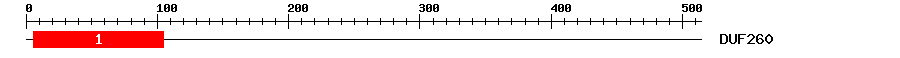 Signature Domain