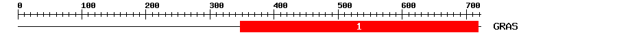 Signature Domain