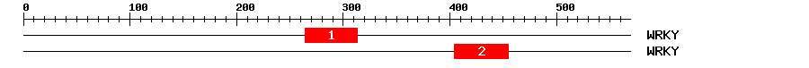Signature Domain