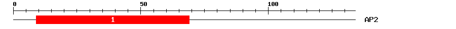 Signature Domain