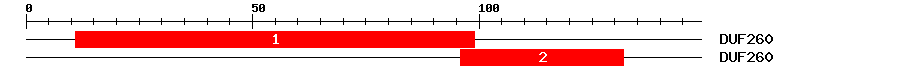 Signature Domain