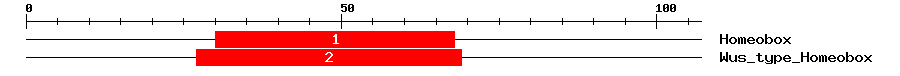 Signature Domain