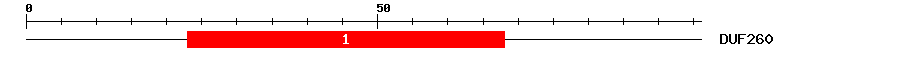 Signature Domain