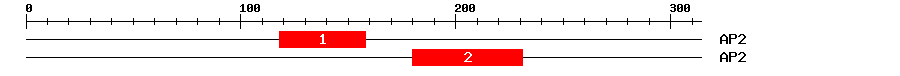 Signature Domain