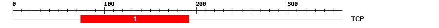 Signature Domain