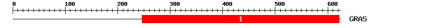 Signature Domain