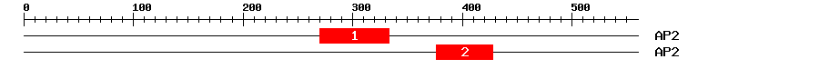 Signature Domain