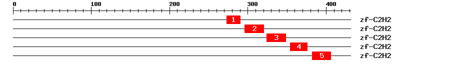 Signature Domain