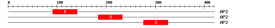 Signature Domain