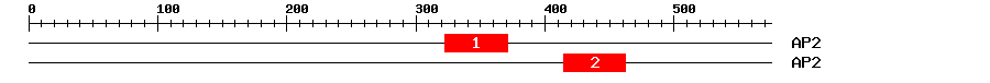 Signature Domain