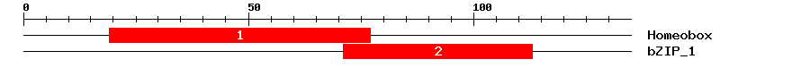 Signature Domain