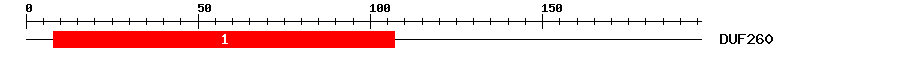 Signature Domain