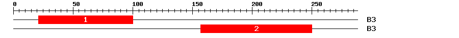 Signature Domain